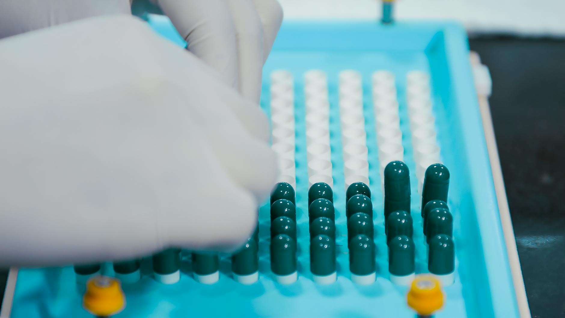 Anhui Biochem pharmaceutical capsules production